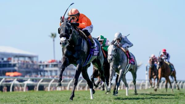 z20251101_caseylaughterandscot