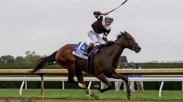 Emphatic Punches Juvenile Fillies Ticket in Alcibiades, Nakatomi ...