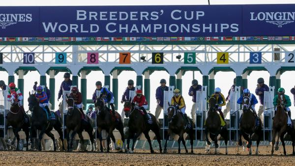 2024 Breeders’ Cup Distaff Cheat Sheet: Get to Know the Horses ...