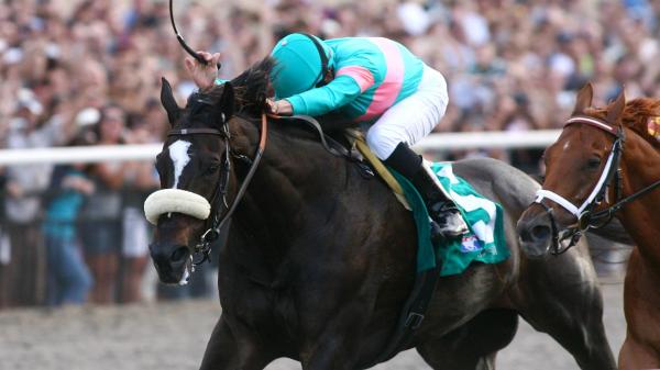 Road to the Breeders' Cup: Sneak Peek at Whitney, Clement Hirsch