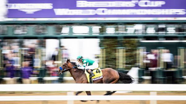 Flightline Leads Finalists for 2022 Eclipse Awards