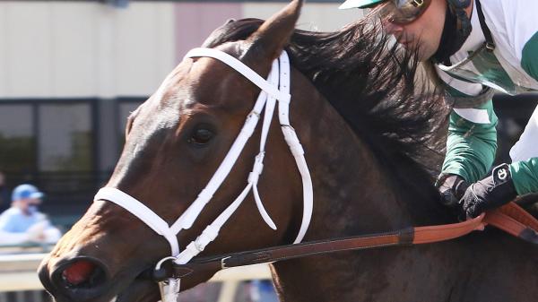 Chub Wagon | America's Best Racing