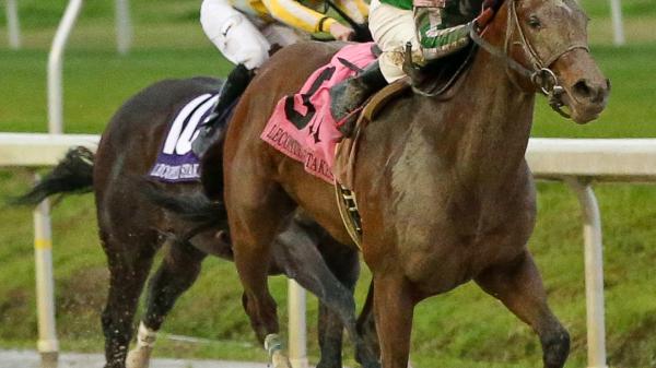 Guest Suite | America's Best Racing