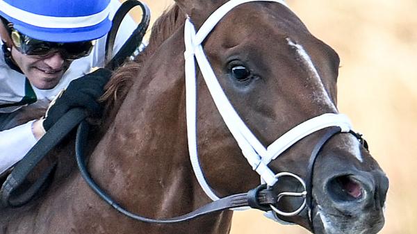 John Hancock | America's Best Racing