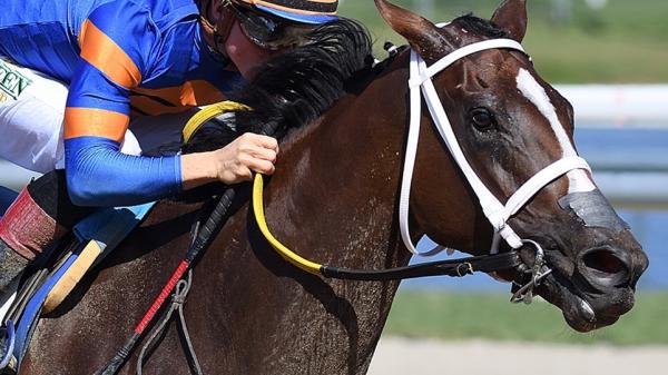 Early On | America's Best Racing