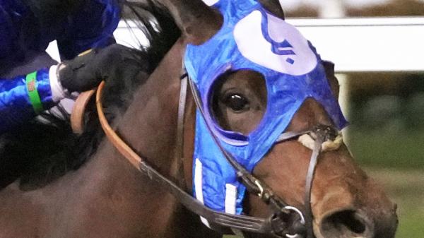 Bella Ballerina | America's Best Racing