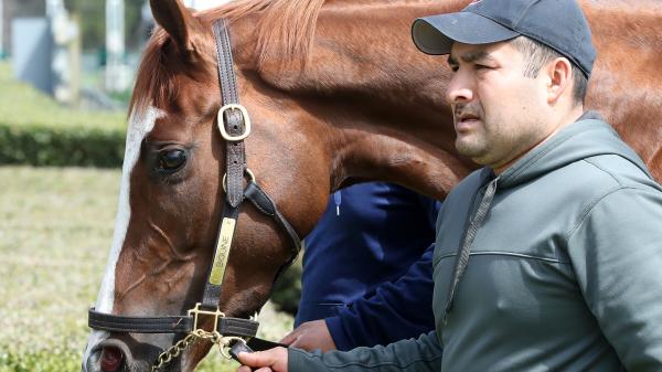 Beguine | America's Best Racing