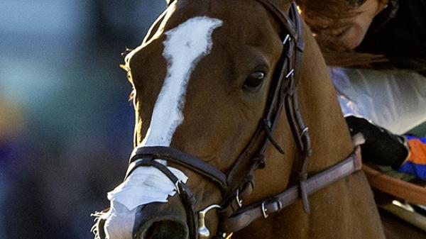 British Isles | America's Best Racing