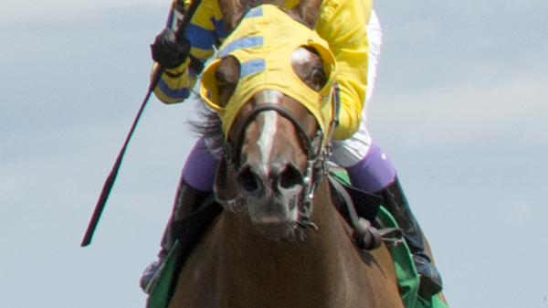 Patches O'Houlihan | America's Best Racing