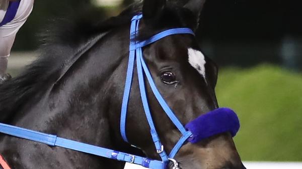 Emblem Road | America's Best Racing