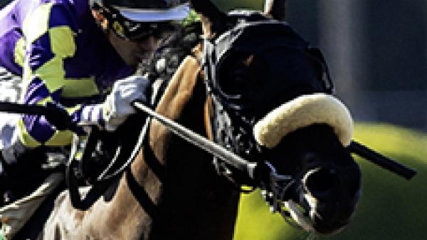 Baeza | America's Best Racing