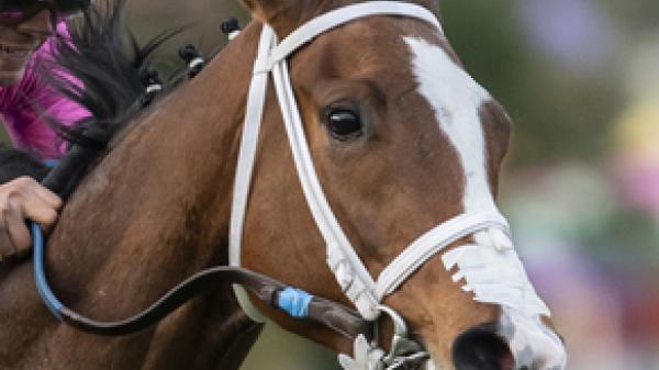 Laura's Light | America's Best Racing