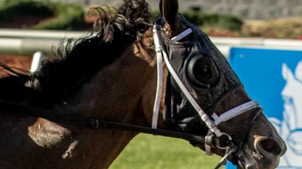 Life of Joy | America's Best Racing