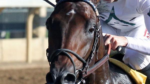 Quip | America's Best Racing
