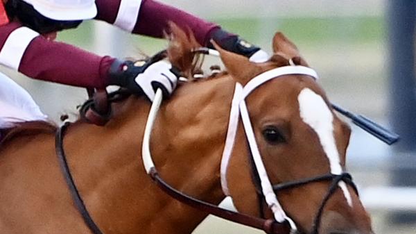 Recharge | America's Best Racing