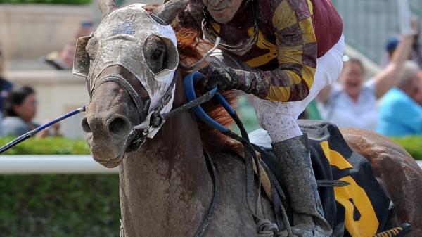 Rated R Superstar | America's Best Racing