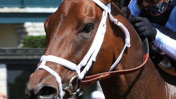 Speech | America's Best Racing