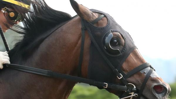Tennessee Lamb | America's Best Racing