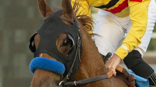 Wynstock | America's Best Racing