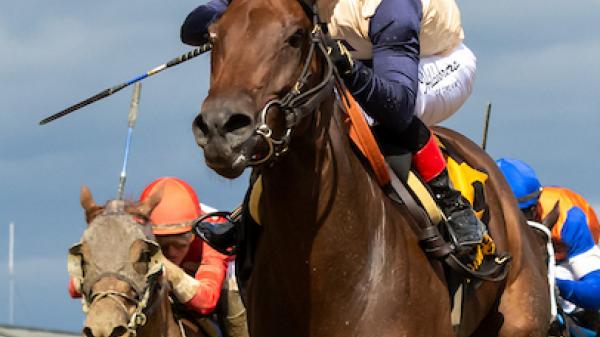 Praying | America's Best Racing