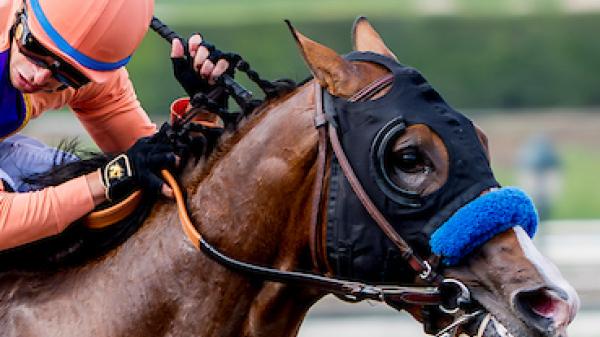 Provenance | America's Best Racing