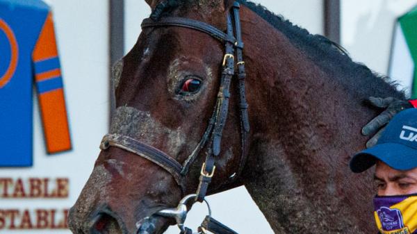Risk Taking | America's Best Racing