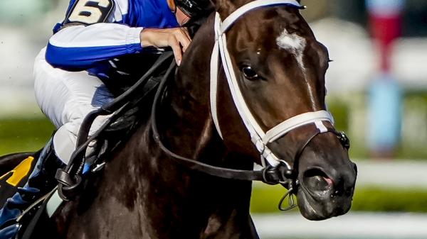 Mo Strike | America's Best Racing