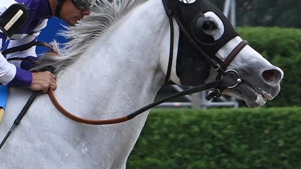 Arthur's Ride | America's Best Racing