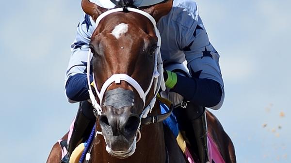 Catalytic | America's Best Racing