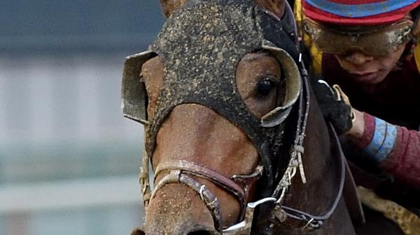 Catholic Boy | America's Best Racing