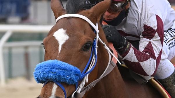 Exotic West | America's Best Racing
