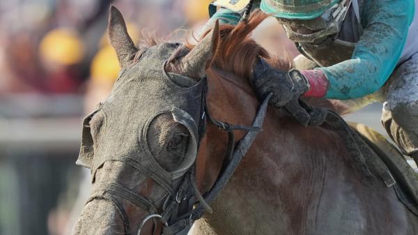 Magic Michael | America's Best Racing