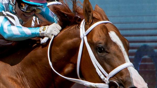 Lightening Larry | America's Best Racing