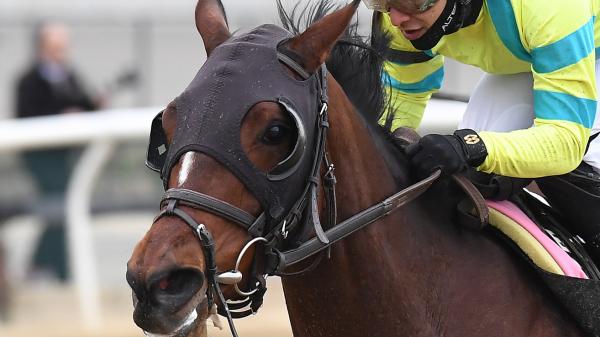 Mommasgottarun | America's Best Racing