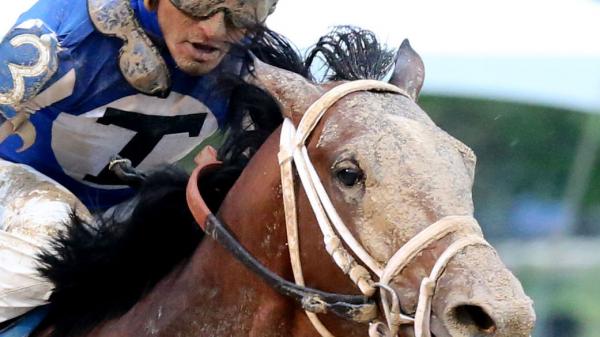 Mr Big News America s Best Racing