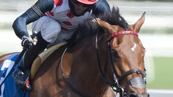 Our Flash Drive | America's Best Racing