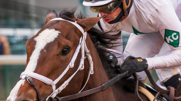 Patch Adams | America's Best Racing