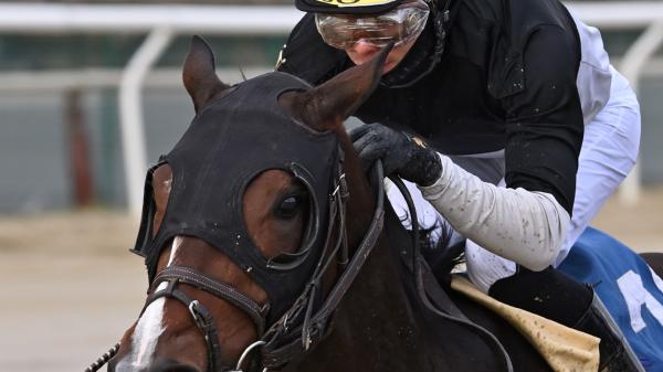Sharp Starr | America's Best Racing