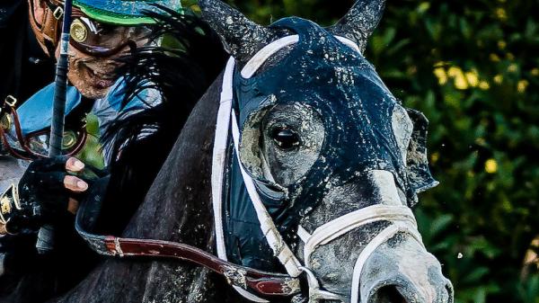 Tapwrit | America's Best Racing