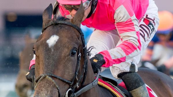 Tax | America's Best Racing