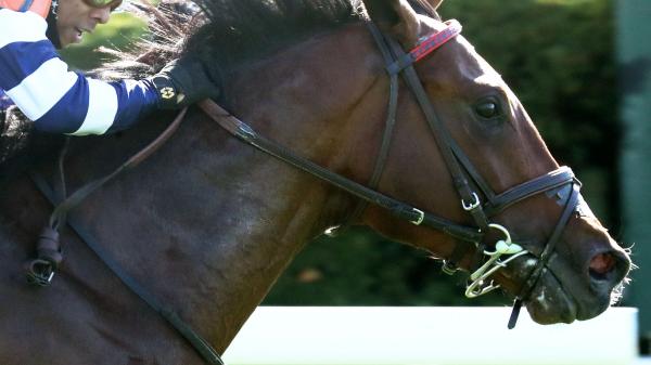Test Score | America's Best Racing