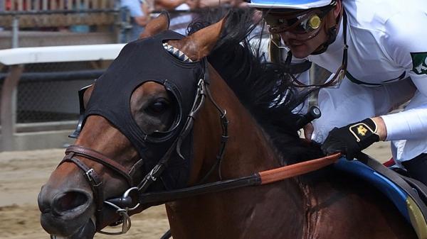 World Record | America's Best Racing