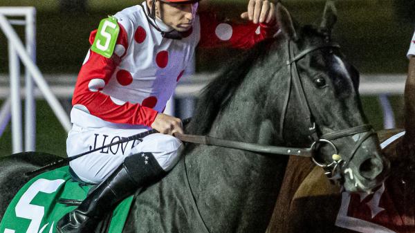 Chunk of Gold | America's Best Racing