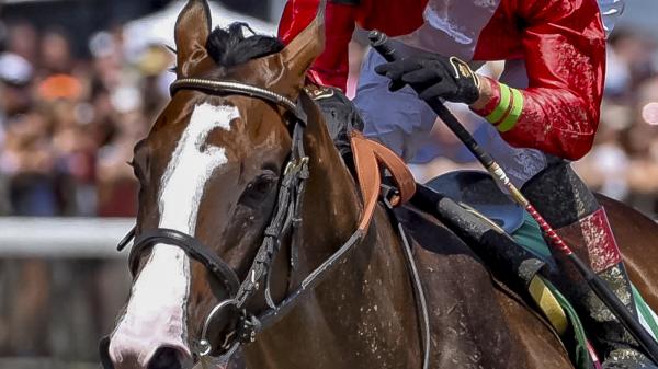 By Your Side | America's Best Racing