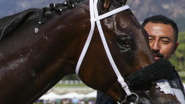 Mo Forza | America's Best Racing