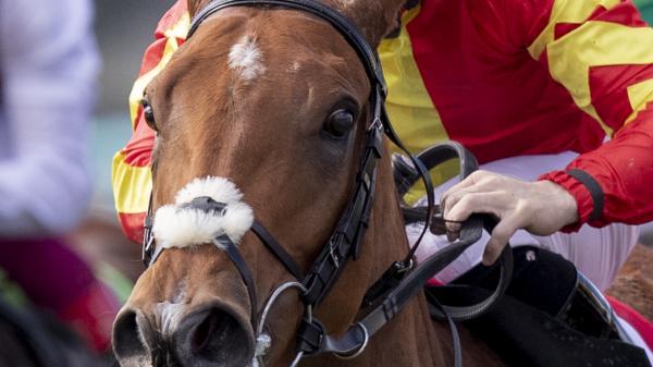 Iridessa (IRE) | America's Best Racing