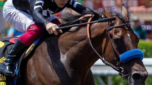 MyRacehorse and Leidel, Peter | America's Best Racing