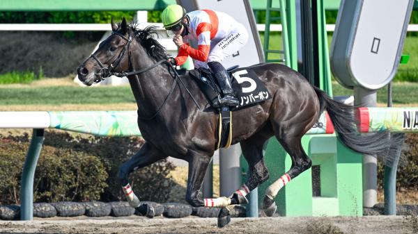 Breeder Blue Heaven Farm Excited for Danon Bourbon’s Bluegrass Return for Kentucky Derby
