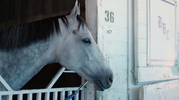 Hit Show Targets Hagyard Fayette Stakes Three-Peat Saturday at Keeneland