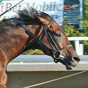 Chris M. Block | America's Best Racing